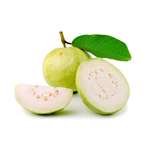Guava/Amrood